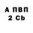 APVP СК Nicki Riks