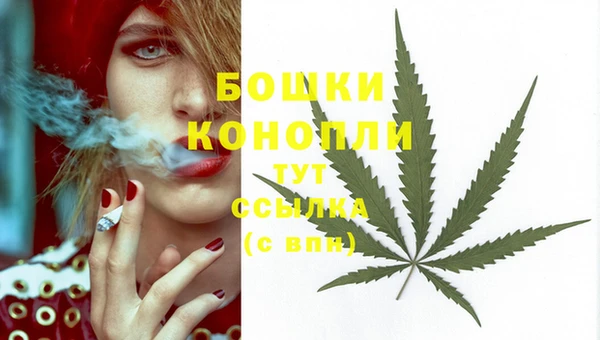бошки Новокубанск