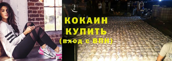 гидропоника Новозыбков