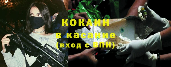 гидропоника Новозыбков