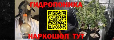 mdma Канаш