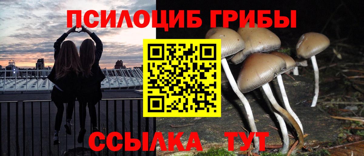 Галлюциногенные грибы MAGIC MUSHROOMS Нягань