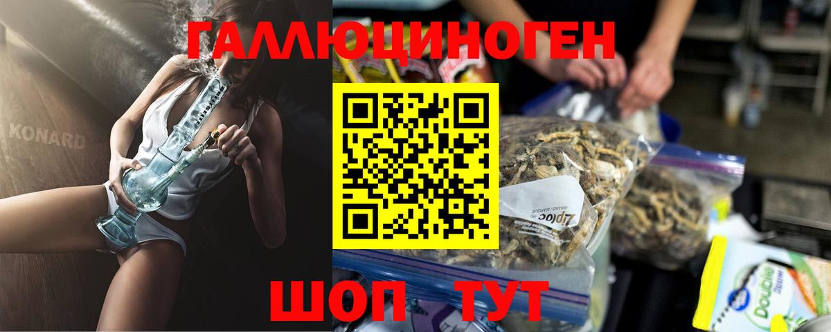 где найти   Вход с VPN  Нягань  Галлюциногенные грибы прущие грибы  Псилоцибиновые грибы Psilocybine cubensis 